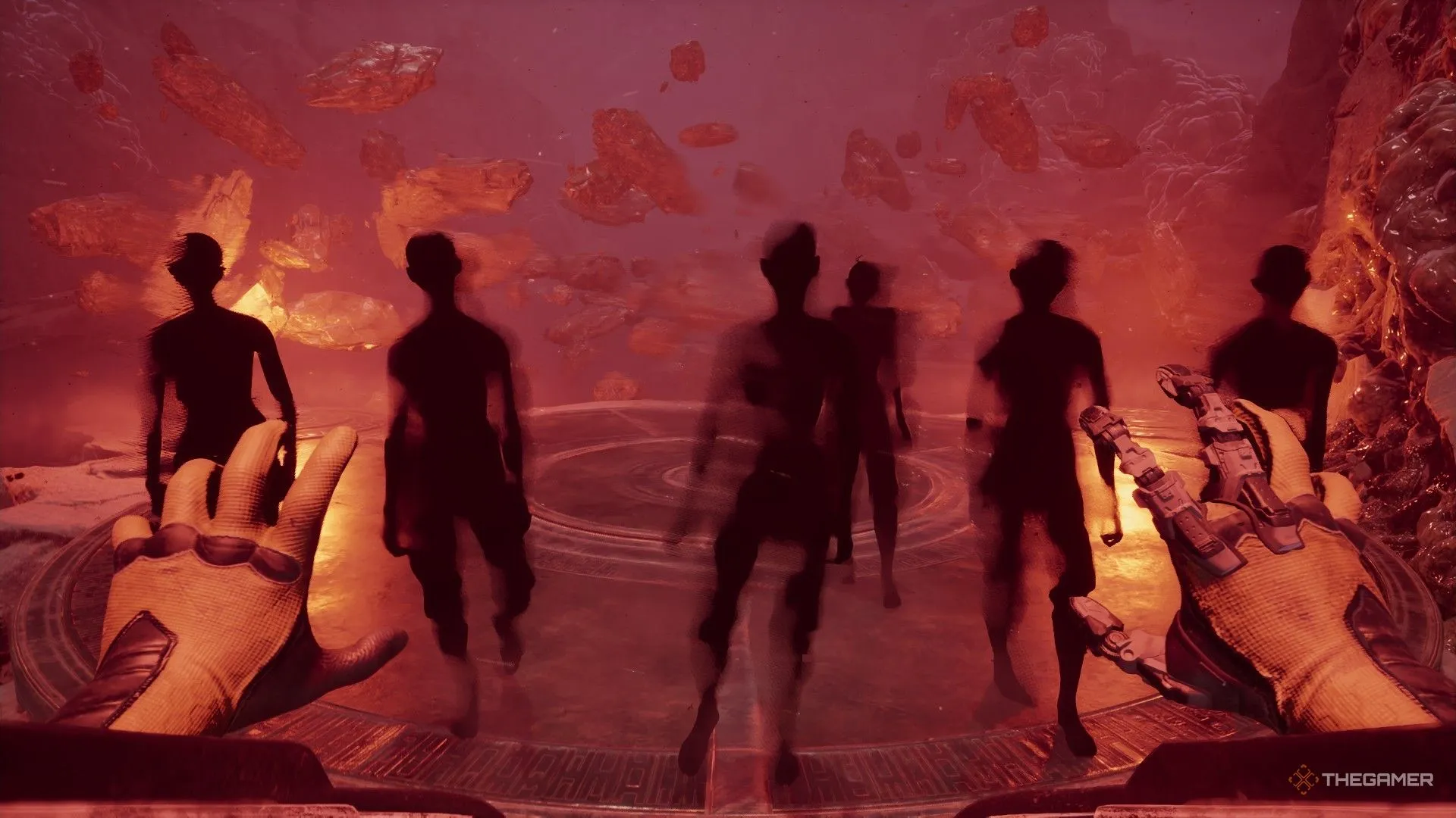 拉齐奥吉祥,物驯鹰师因,发布不当照,开云赞助,体育赞助资讯,赛事合作平台,足球赞助信息,NBA品牌赞助