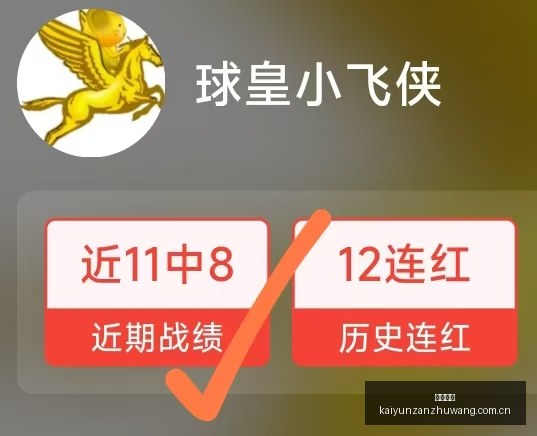 英超赛事避,雷指南,埃弗顿水晶,开云赞助,体育赞助资讯,赛事合作平台,足球赞助信息,NBA品牌赞助