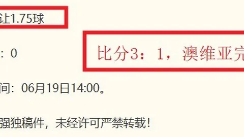 临界值：世界杯9胜8负背后的飞翼对决天空