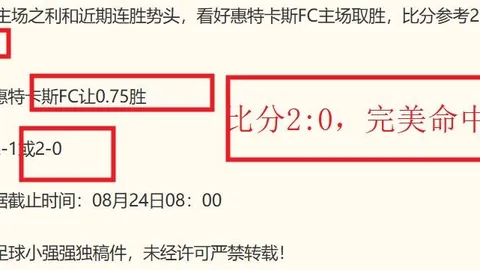 电竞战队新加盟，前职业选手领航新征程